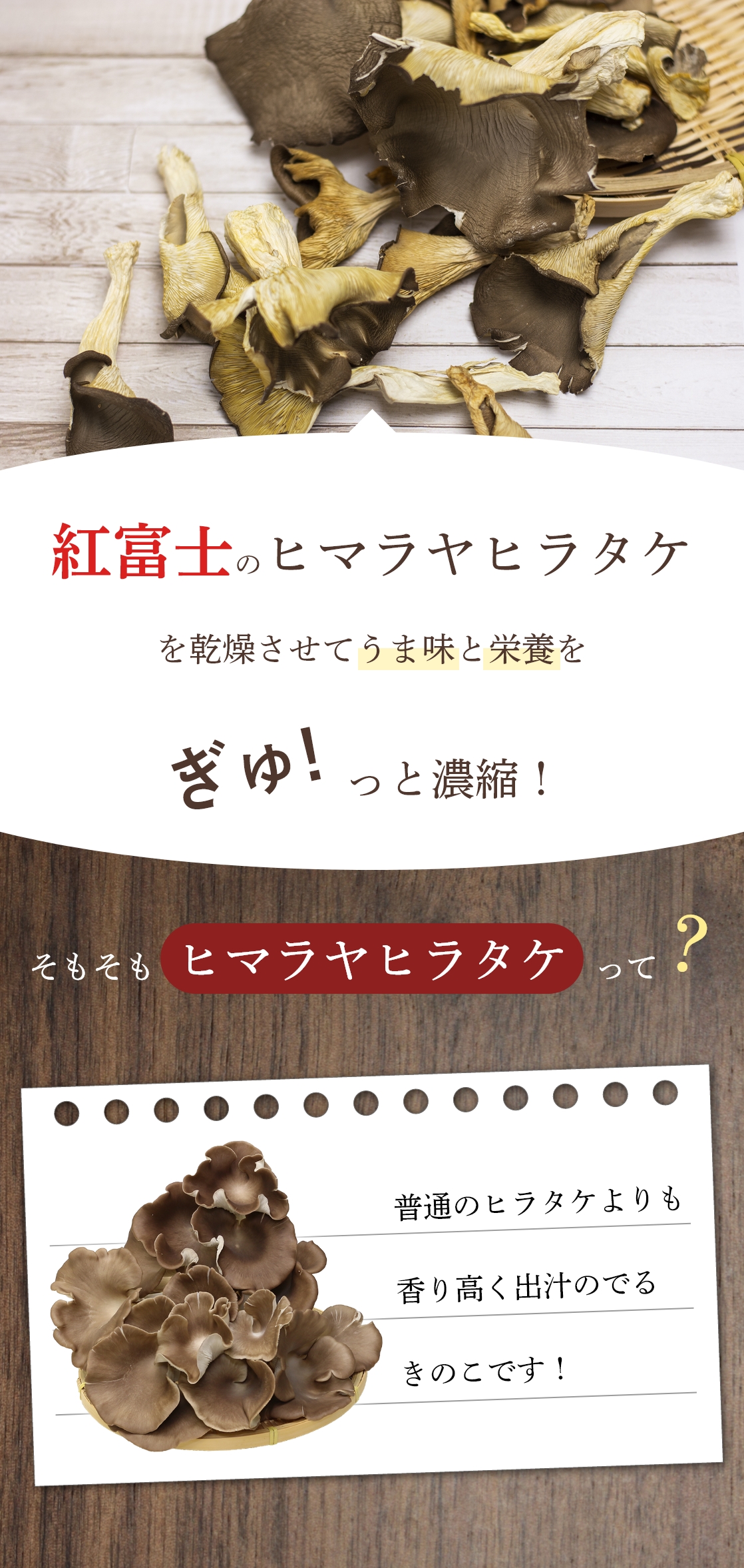 原木しいたけ ヒマラヤヒラタケ 秋山種菌研究所 きのこ しいたけ