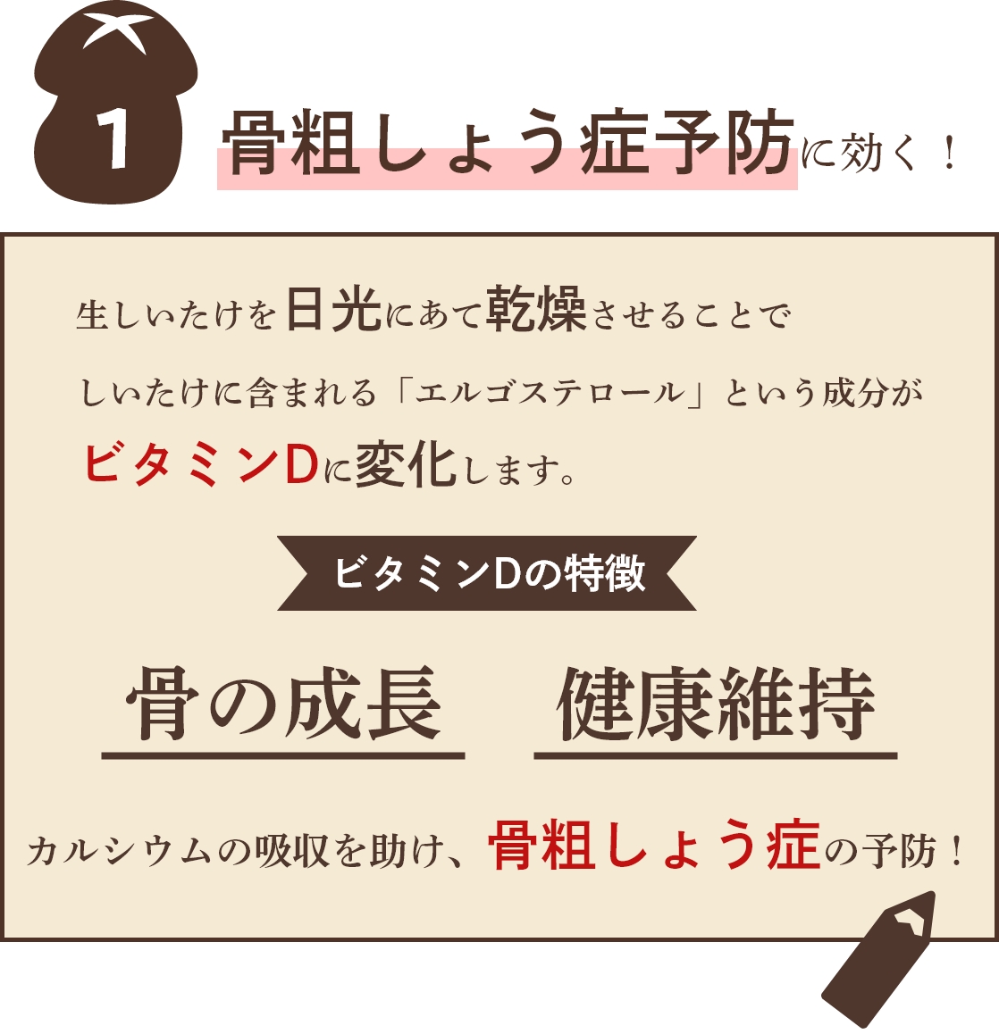 原木しいたけ 干ししいたけ 秋山種菌研究所 きのこ しいたけ