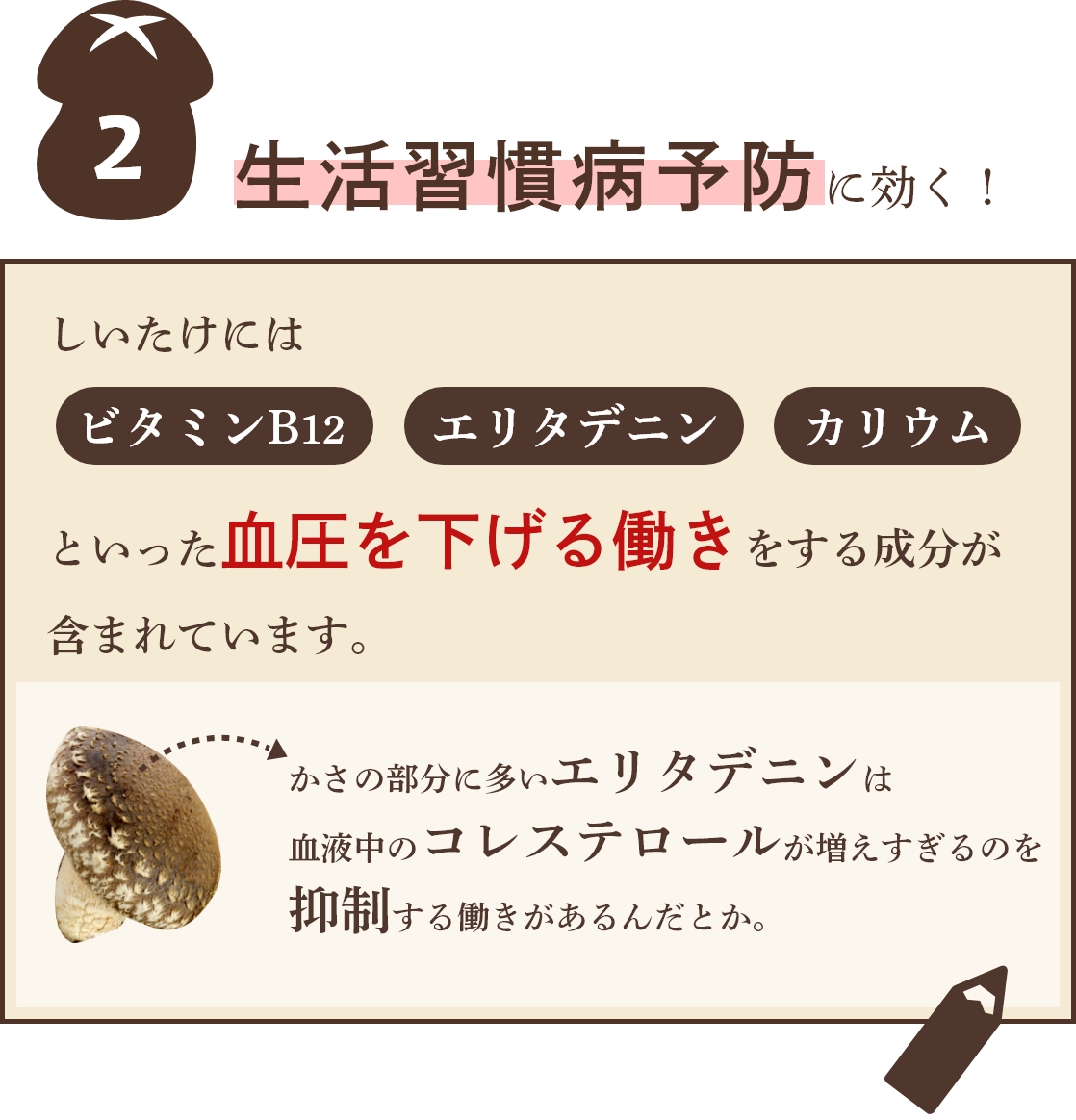 原木しいたけ 干ししいたけ 秋山種菌研究所 きのこ しいたけ