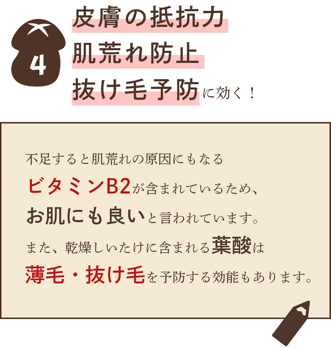 原木しいたけ 干ししいたけ 秋山種菌研究所 きのこ しいたけ