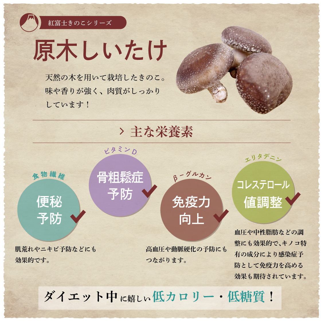 紅富士（秋山種菌研究所）ショッピングサイト / 原木しいたけ 1kg